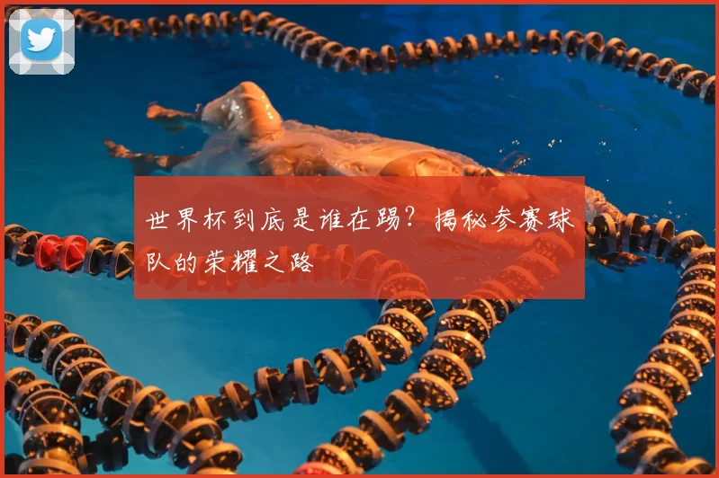 世界杯到底是谁在踢?揭秘参赛球队的荣耀之路