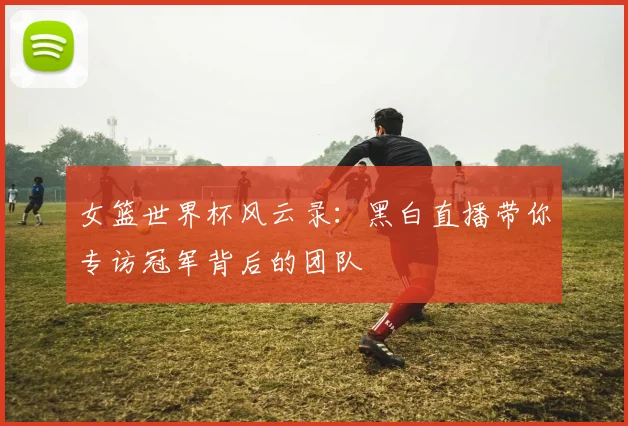 女篮世界杯风云录:黑白直播带你专访冠军背后的团队