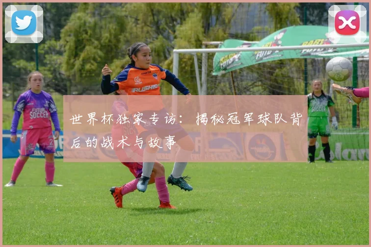 世界杯独家专访：揭秘冠军球队背后的战术与故事
