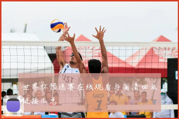 世界杯预选赛在线观看与高清回放链接汇总