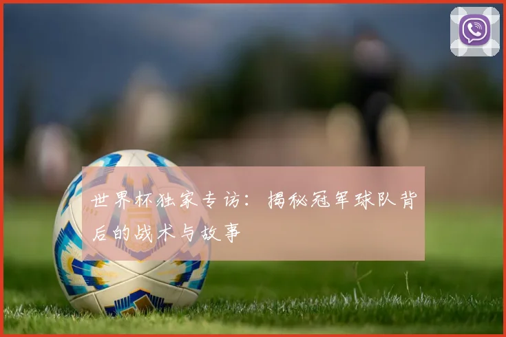 世界杯独家专访：揭秘冠军球队背后的战术与故事